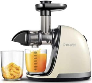 commercial juicer cost tx