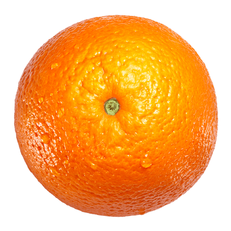 A whole, bright orange with a textured peel and a small green stem, viewed from above against a white background—perfect for adding a fresh touch to your Dealer Landing Page.